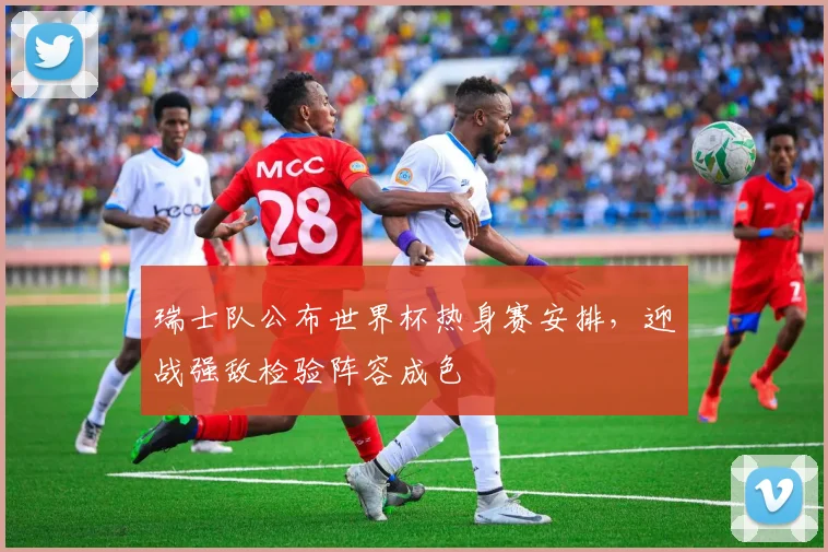 瑞士队公布世界杯热身赛安排,迎战强敌检验阵容成色