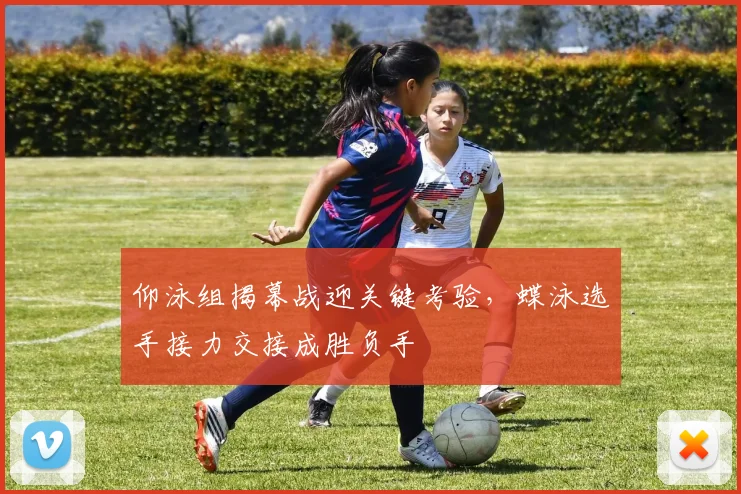 仰泳组揭幕战迎关键考验,蝶泳选手接力交接成胜负手