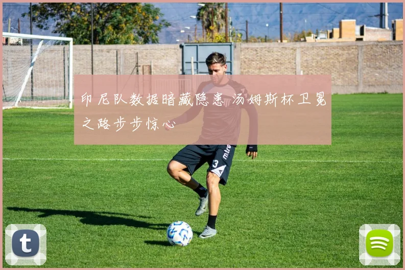 印尼队数据暗藏隐患 汤姆斯杯卫冕之路步步惊心