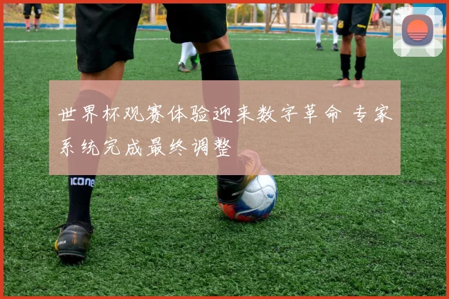 世界杯观赛体验迎来数字革命 专家系统完成最终调整